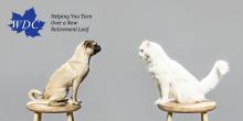 Photo of dog and cat facing each other, with the WDC logo and tagline, "Helping You Turn Over a New Retirement Leaf"