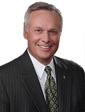 David Stein