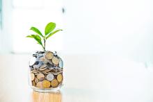 Money in a glass jar with tree