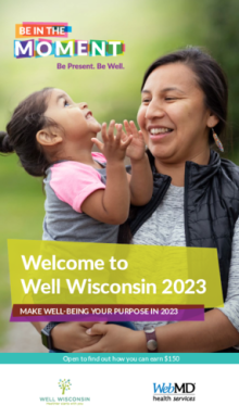 Well Wisconsin Program Brochure