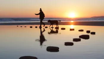 A person with dog walking through steppingstones in a body of water over sunset
